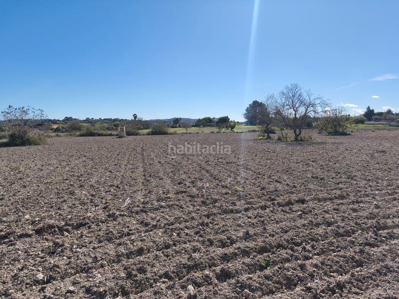 Foto ee615bc0-13c0-4eaf-9b39-0e79d9ee6679. Wohngrundstück in Montuïri