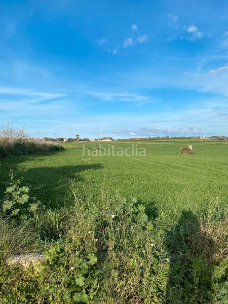 Foto 072fe98c-71c3-48fe-8a86-77aac49e4afe. Propriété dans Santa Margalida poble Santa Margalida