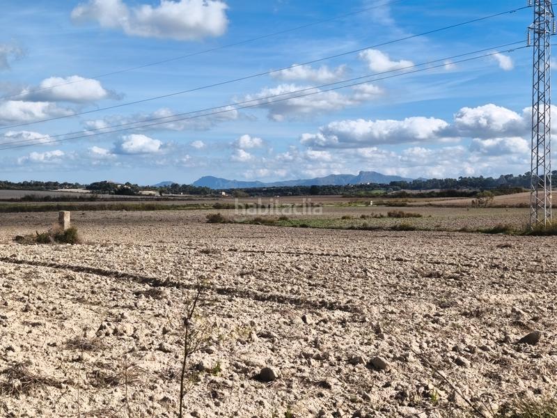 Foto c3070df6-ea9b-4768-8179-bbdc262349f4. Propriété dans Santa Margalida poble Santa Margalida