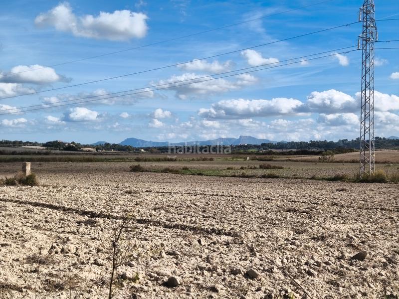 Foto df7b4430-d12a-42ed-971c-87fd98c2de18. Propriété dans Santa Margalida poble Santa Margalida