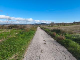 Finca rústica a Montuïri. Vistas panorámicas