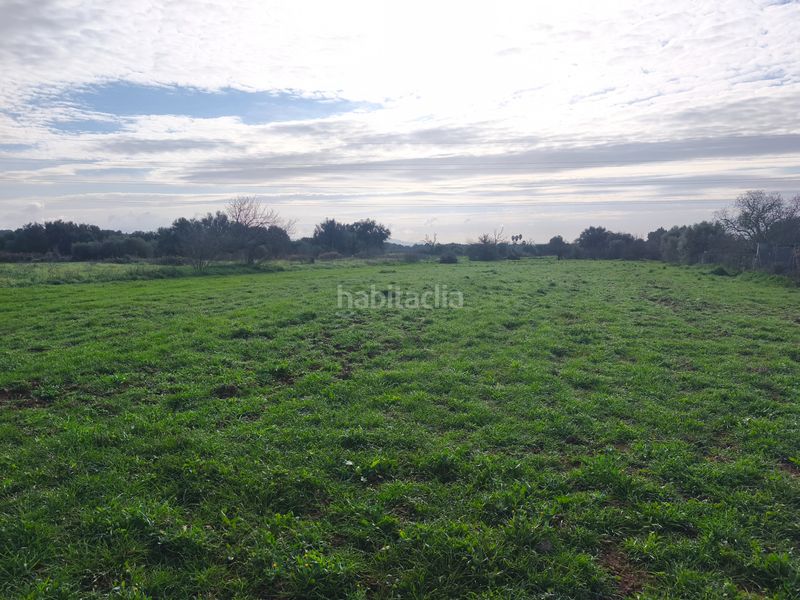 Foto 69f41565-2d54-4abd-b26a-af54b6e3b82b. Finca rústica a Porreres