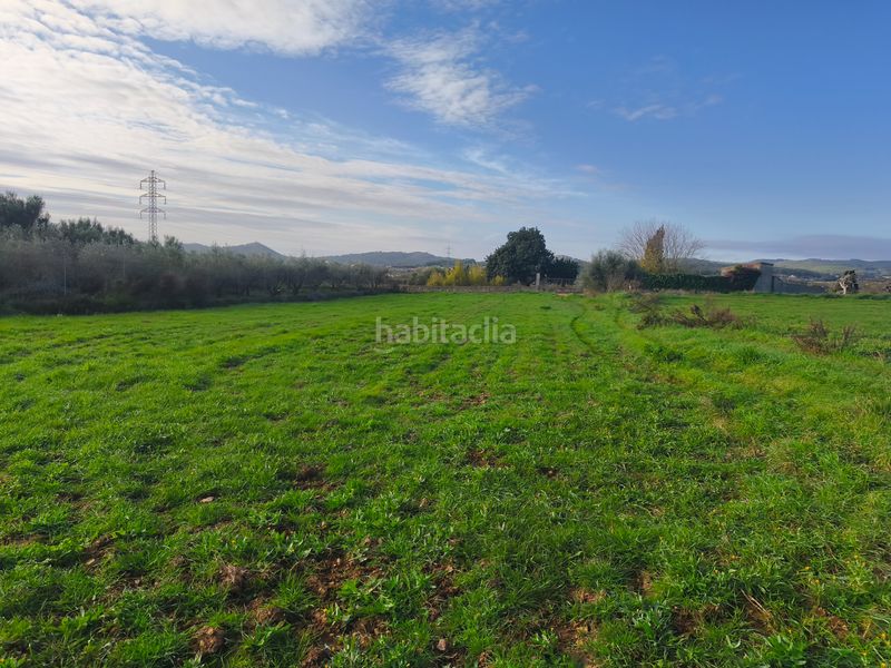 Foto f275a168-1d79-475c-94d9-92b6f0b67d39. Finca rústica a Porreres