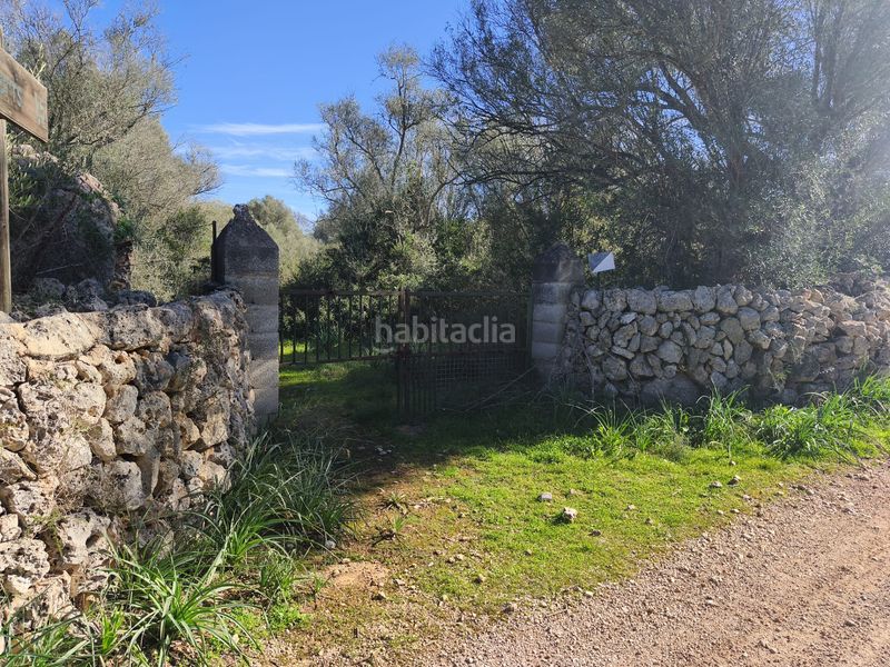 Foto 978066a1-595b-4c3f-b5c5-2bee2a689079. Terreno residencial en carrer ruberts 24 finca edificable cerrada de pared de piedra en Sencelles