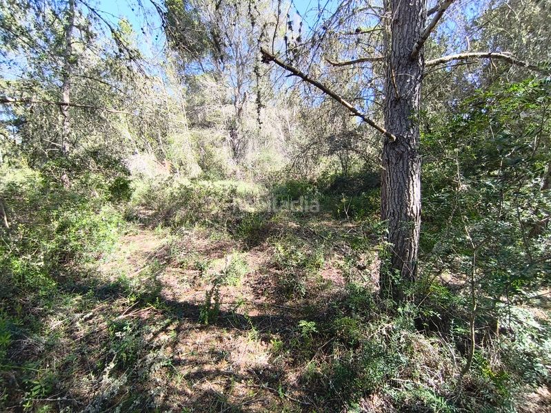 Foto 1b5690c2-9f76-486d-837f-7e38281c1826. Finca rústica en Montuïri