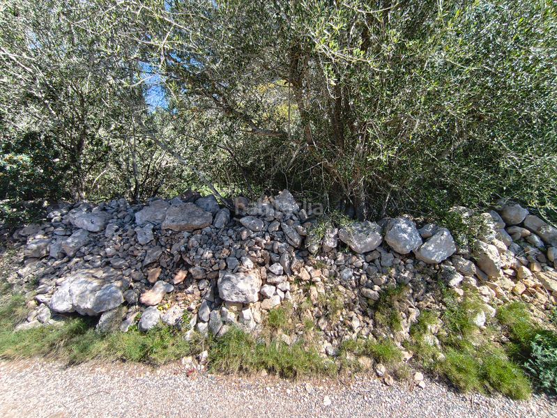 Foto 1c5a9262-af8c-47c7-80aa-65e294b903bb. Finca rústica en Montuïri