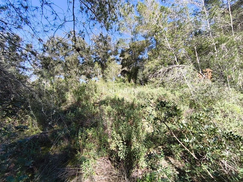 Foto 1f46747d-3651-4b3f-92a2-4d3ea885b73e. Finca rústica en Montuïri