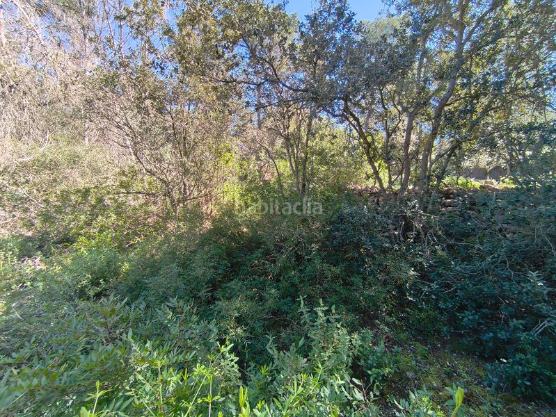 Foto 270d951c-bdf5-4b4f-bd92-e3f540152b1f. Finca rústica en Montuïri