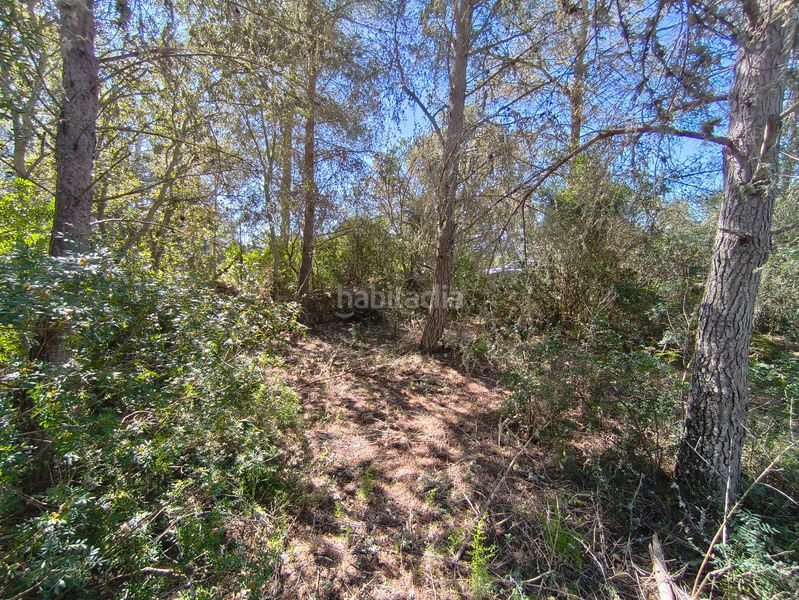 Foto 29523b6a-4645-47d5-a169-858cba782592. Finca rústica en Montuïri