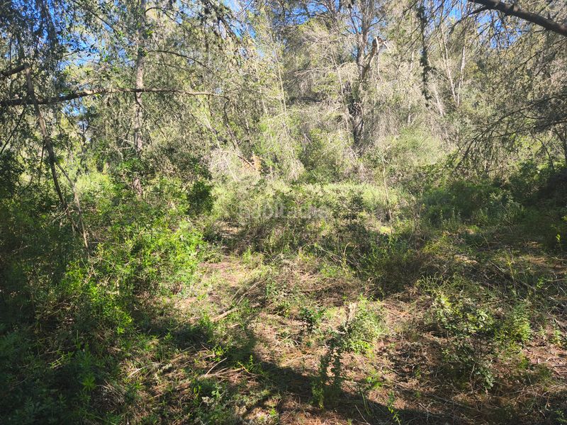 Foto 3532f145-11a4-44fb-a292-0e95d37b0f18. Finca rústica en Montuïri