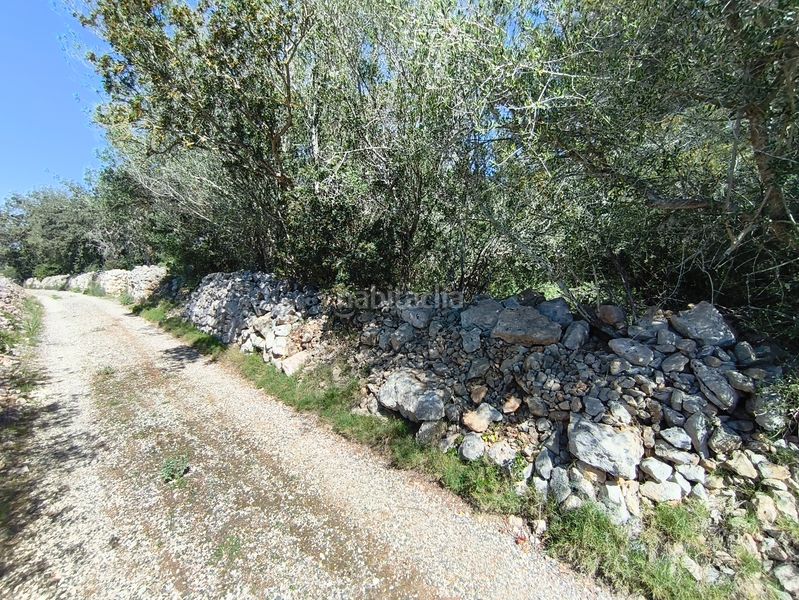 Foto 48142f60-1843-466f-9ebe-6b8e7fc48ae5. Finca rústica en Montuïri