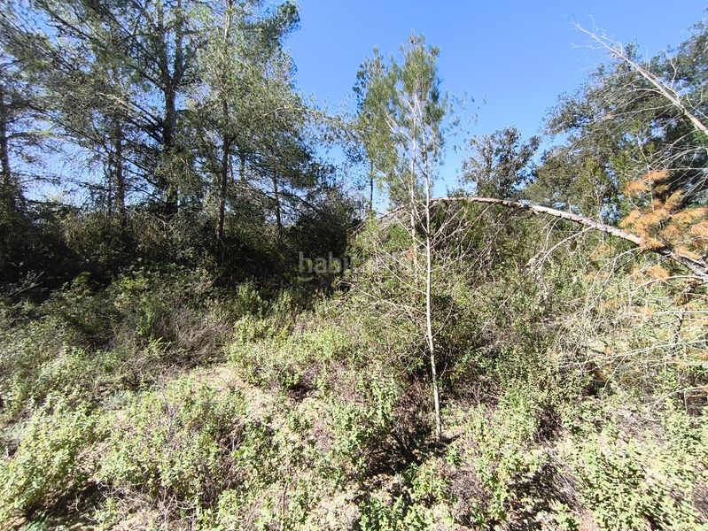 Foto c68fd592-2e42-4e02-9cab-46943c37a00a. Finca rústica en Montuïri