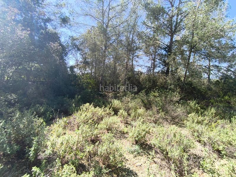 Foto d8a5a1fe-b9c5-44f9-b9b5-6314491e4e73. Finca rústica en Montuïri