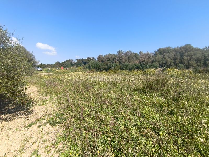 Foto 2fc29047-f0e7-4a6b-b0e6-fc7d11140187. Finca rústica a Ariany