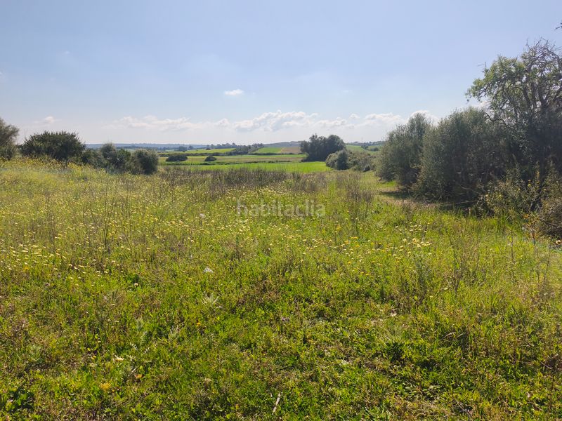 Foto 72839de8-f5fe-4699-a816-6e3f6698f747. Finca rústica a Ariany