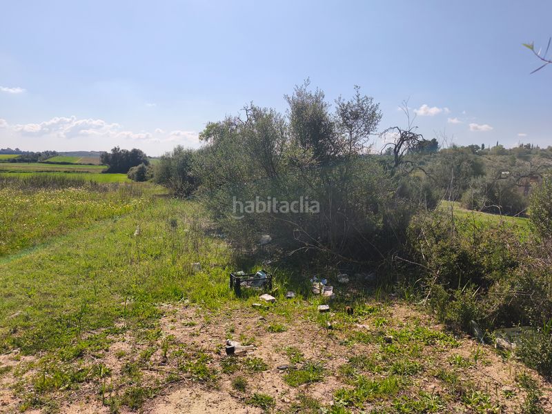 Foto bccba977-65e9-4596-b4a0-e8c4fcea9f9d. Finca rústica a Ariany