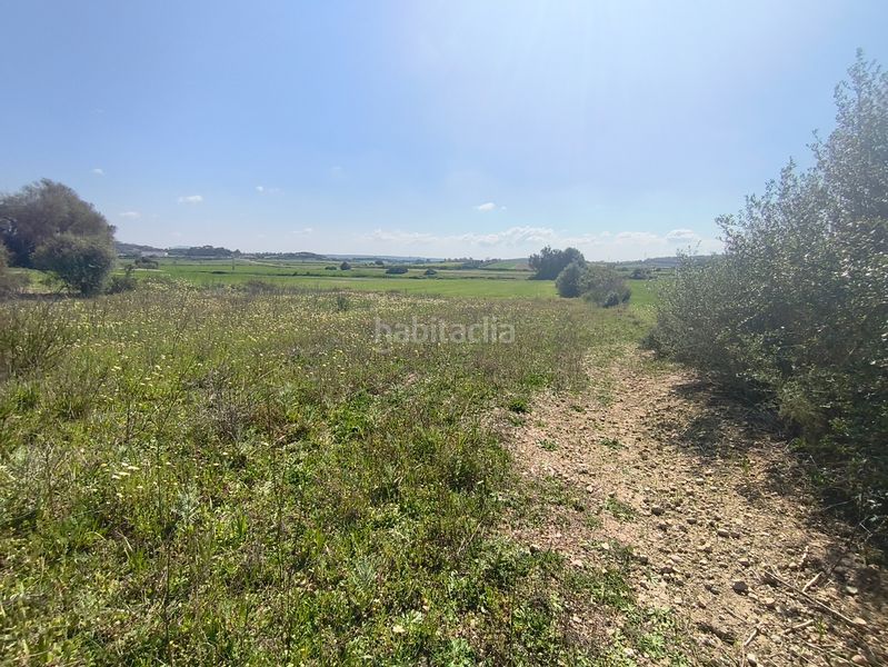 Foto d0d29eb3-e78b-4bba-9b82-09125b42a72f. Finca rústica a Ariany