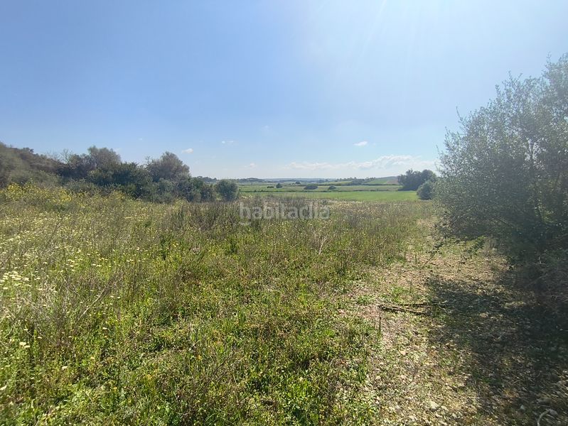 Foto e9ef5711-7a7f-4ca5-82c7-aa4e7d7c1519. Finca rústica a Ariany