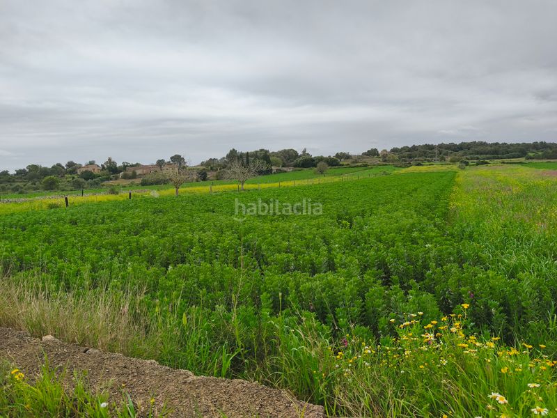 Foto 14ecbe5d-f01e-40be-b601-21fb74a3e852. Finca rústica a Lloret de Vista Alegre