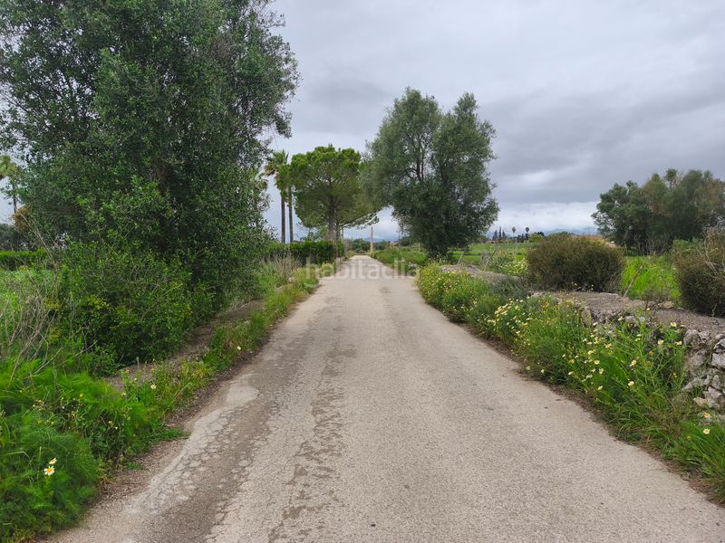 Foto b4bd6325-14a1-408d-9b33-5090dac5b844. Finca rústica a Lloret de Vista Alegre
