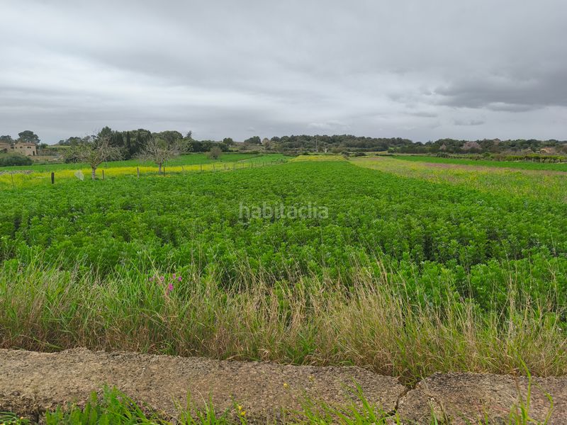Foto ff9cd6e8-533e-4351-b383-3a3364a4df79. Finca rústica a Lloret de Vista Alegre