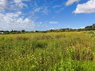 Fondo rustico in Vilafranca de Bonany. Finca muy cerca del pueblo