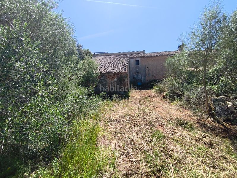 Foto 2768a6d6-7029-4a68-ad98-0def6c4c1fad. Casa dos fincas edificables juntas en Son Gual Palma de Mallorca