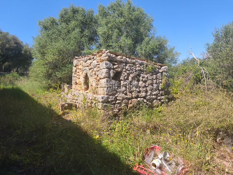 Foto 3a1b097c-3982-4324-9c80-92bad71427c0. Casa dos fincas edificables juntas en Son Gual Palma de Mallorca