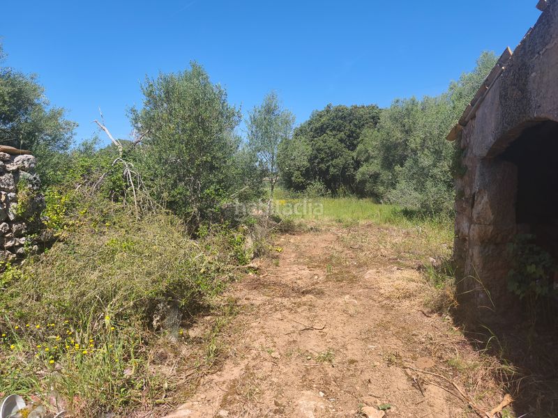 Foto 3e032e19-1c7f-422b-a824-cbb7e455c728. Casa dos fincas edificables juntas en Son Gual Palma de Mallorca