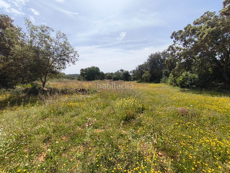 Foto 4d36f681-09c8-4b2f-ac96-bb1535f09d40. Casa dos fincas edificables juntas en Son Gual Palma de Mallorca
