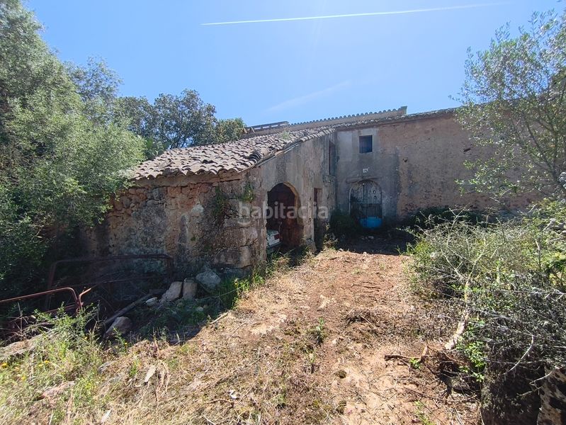 Foto 9a5b437b-4e6c-4067-a7d7-319375fb0ed0. Casa dos fincas edificables juntas en Son Gual Palma de Mallorca