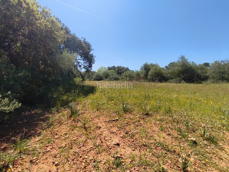 Foto bdfed3b3-d8a4-4c28-97dd-a34e6cbde1cf. Casa dos fincas edificables juntas en Son Gual Palma de Mallorca
