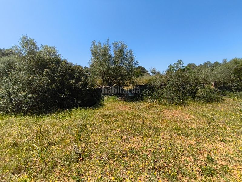 Foto be11d114-f9de-4739-87ee-bce754c24dd6. Casa dos fincas edificables juntas en Son Gual Palma de Mallorca