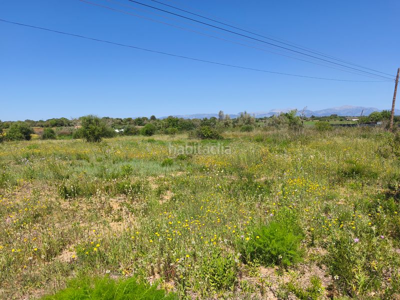 Foto 4add4266-322e-4907-86f1-6dfd8f9d0d0f. Finca rústica a Algaida
