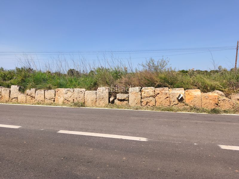 Foto 79b5deae-c411-4158-8690-143162dcaf55. Finca rústica a Algaida