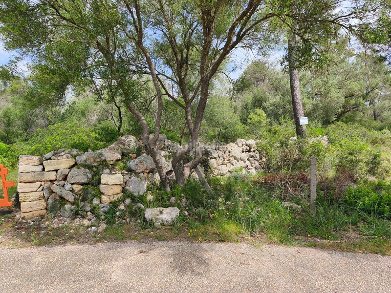 Foto 475c3ad9-1cb4-46bd-8ec5-e53560009f09. Finca rústica a Lloret de Vista Alegre