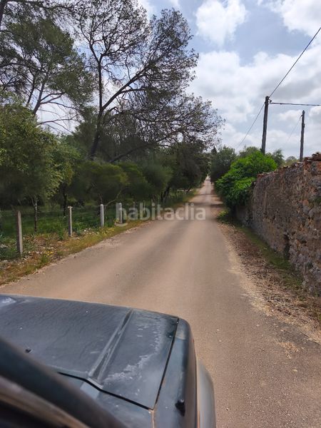 Foto c2e536ed-3d38-4d35-875a-e5f43aba7390. Finca rústica a Lloret de Vista Alegre