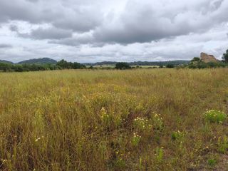 Rural plot in Sineu. Finca edificable