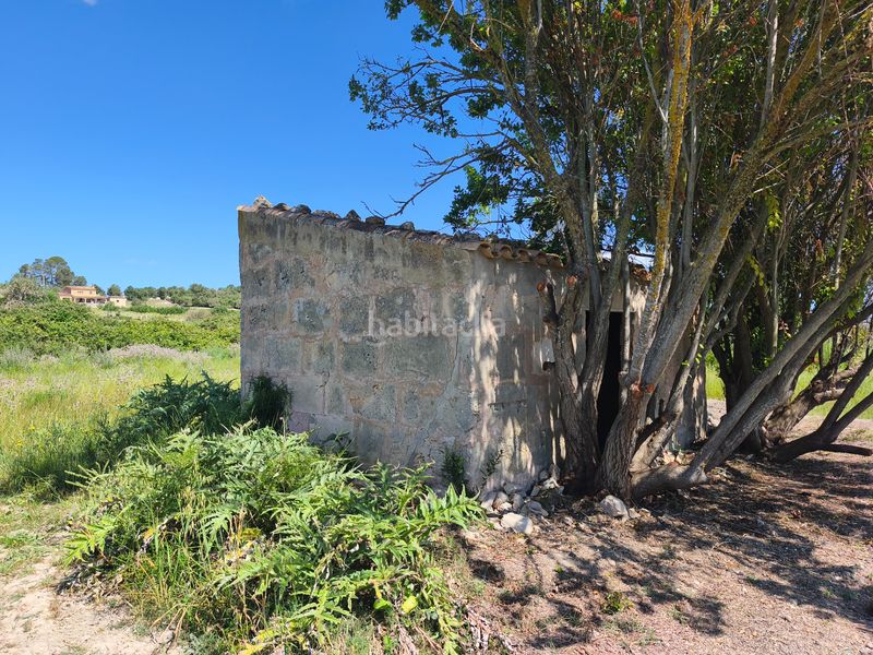 Foto ad2a649b-ffbe-402c-a350-ab65dcbf5e2e. Finca rústica a Maria de la Salut