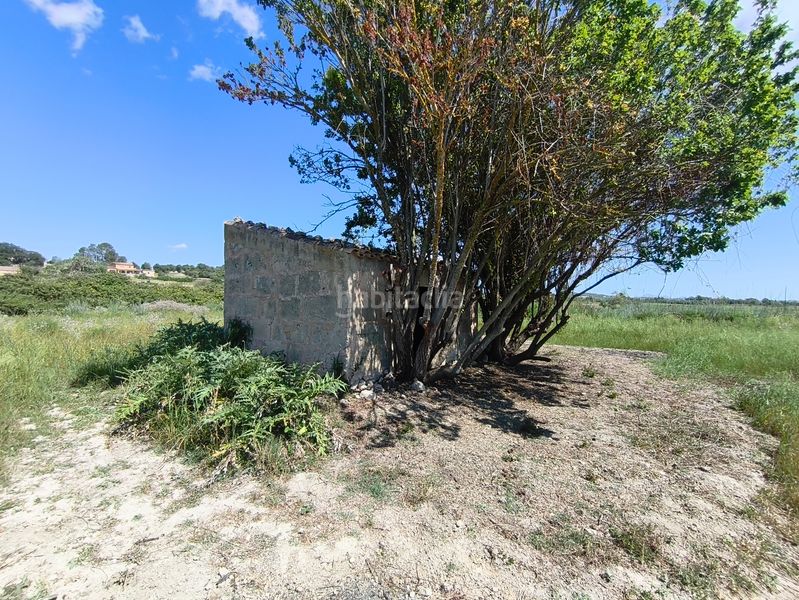 Foto b1beda01-8d0b-4063-afee-5f14994c4319. Finca rústica a Maria de la Salut