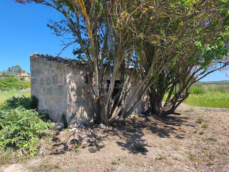 Foto c067f956-3fa4-4d76-9e6a-434747cdc154. Finca rústica a Maria de la Salut