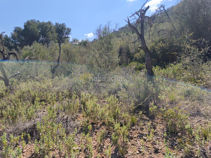 Foto 5b826f81-fbb6-4d0b-8e8a-b9a63f166731. Finca rústica a Algaida