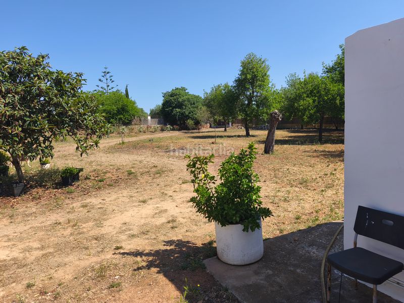 Foto d9a701e4-676f-4b07-be1c-2fbf3e2ab1ab. Xalet amb xemeneia a Algaida