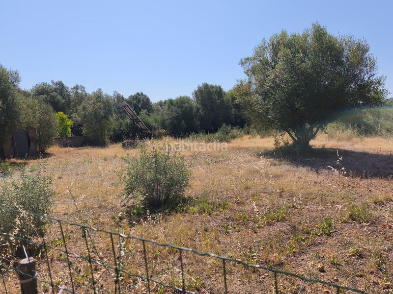 Foto e3c66548-d5a2-4d64-ae7b-8f7794d9d828. Xalet amb xemeneia a Algaida