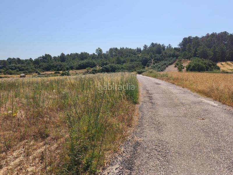 Foto e7e43afc-7913-4c73-bd85-b148fd8c978a. Finca rústica a Petra