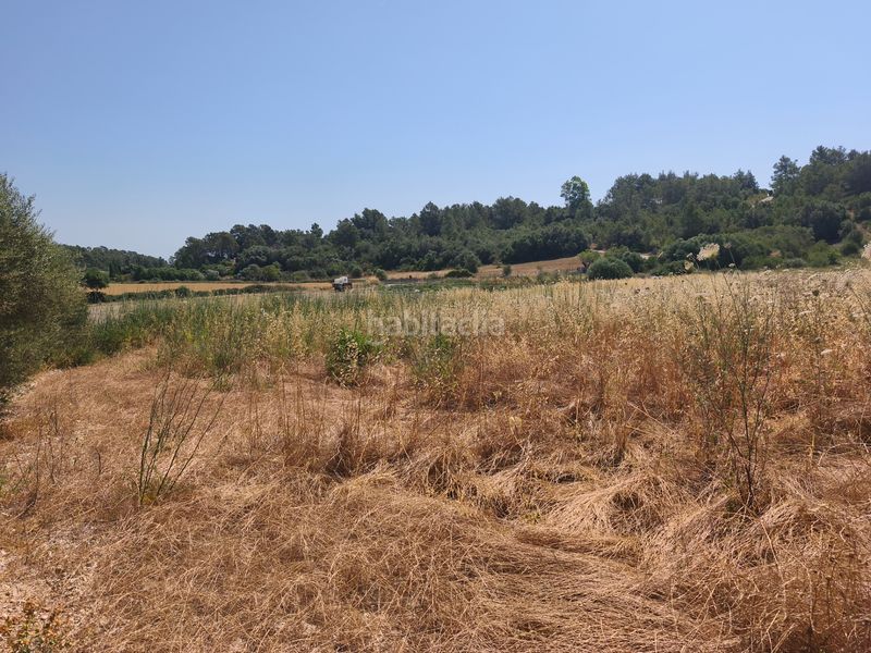 Foto eb59188c-b9a5-4c1b-8d21-21884c78c998. Finca rústica a Petra