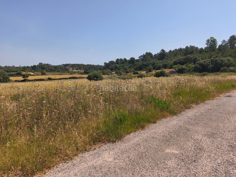 Foto f95be87f-85c9-48b5-8dd6-a6b644251114. Finca rústica a Petra