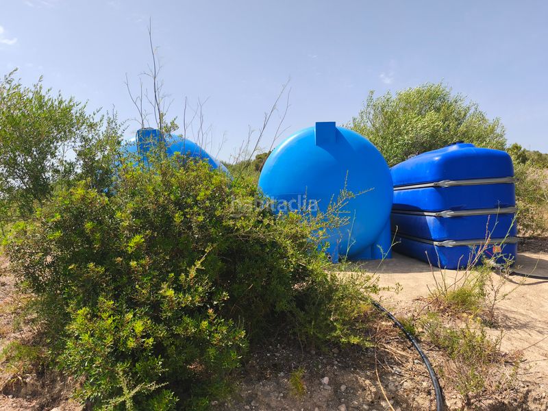 Foto ce2da2b4-4516-4729-9082-87e4f1e48ce9. Finca rústica a Ariany