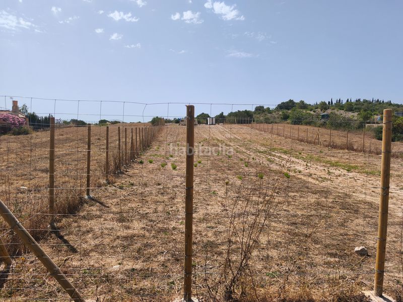 Foto ecac5dfb-a402-4f27-8553-2df3aae8da15. Finca rústica a Ariany