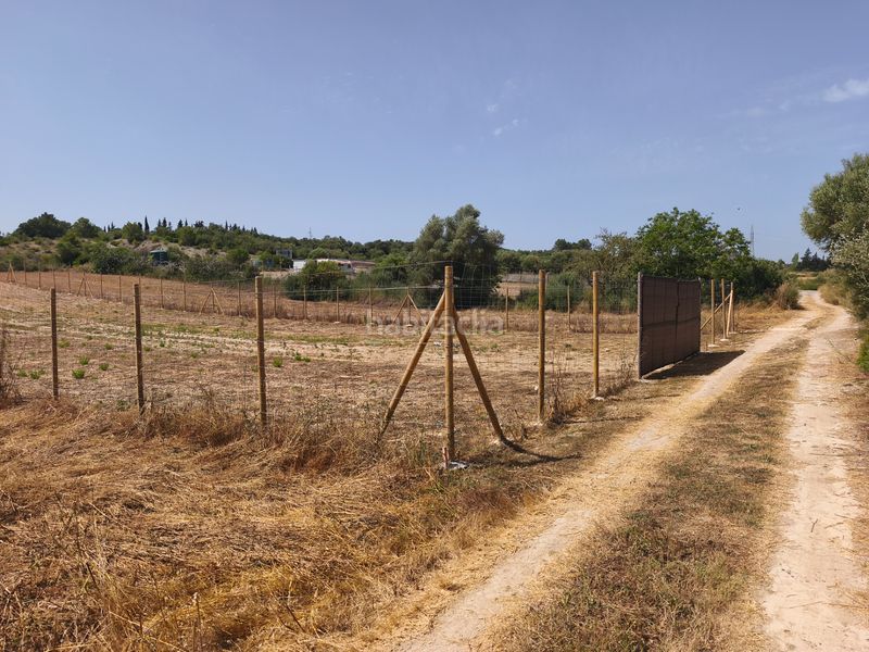 Foto ed542eb0-98a1-4eb6-a49b-232ef01070d9. Finca rústica a Ariany